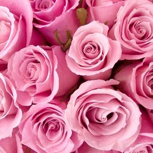 Meet your Posher, Charis